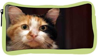 

Snoogg Eco Friendly Canvas Cute Kitty Designer Student Pen Pencil Case Coin Purse Pouch Cosmetic Makeup Bag (GREEN) Pouch(Multicolor)