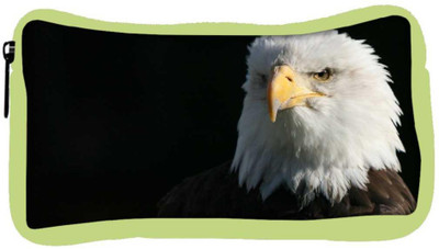 

Snoogg Eco Friendly Canvas Bald Eagle Designer Student Pen Pencil Case Coin Purse Pouch Cosmetic Makeup Bag (GREEN) Pouch(Multicolor)