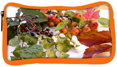 

Snoogg Eco Friendly Canvas Autumn Student Pen Pencil Case Coin Purse Pouch Cosmetic Makeup Bag (ORANGE) Pouch(Multicolor)