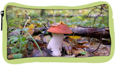 

Snoogg Eco Friendly Canvas Red Mushroom Designer Student Pen Pencil Case Coin Purse Pouch Cosmetic Makeup Bag (GREEN) Pouch(Multicolor)