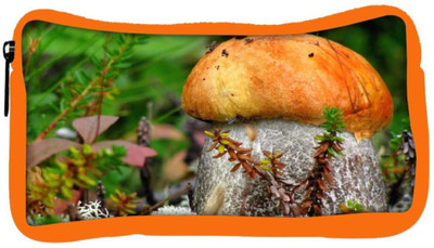 

Snoogg Eco Friendly Canvas Orange Mushroom Designer Student Pen Pencil Case Coin Purse Pouch Cosmetic Makeup Bag (ORANGE) Pouch(Multicolor)