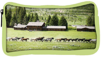 

Snoogg Eco Friendly Canvas Colorful Horses Designer Student Pen Pencil Case Coin Purse Pouch Cosmetic Makeup Bag (GREEN) Pouch(Multicolor)