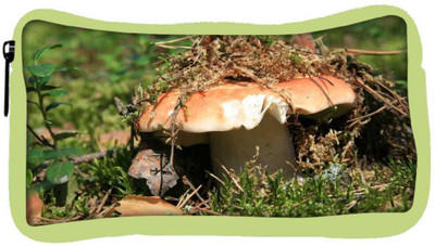 

Snoogg Eco Friendly Canvas Broken Mushroom Designer Student Pen Pencil Case Coin Purse Pouch Cosmetic Makeup Bag (GREEN) Pouch(Multicolor)