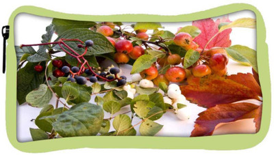 

Snoogg Eco Friendly Canvas Autumn Student Pen Pencil Case Coin Purse Pouch Cosmetic Makeup Bag (GREEN) Pouch(Multicolor)