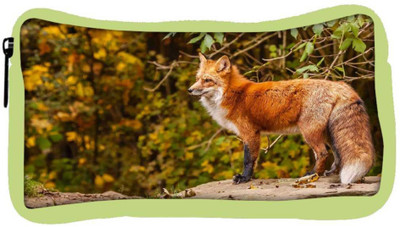 

Snoogg Eco Friendly Canvas Fox Designer Student Pen Pencil Case Coin Purse Pouch Cosmetic Makeup Bag (GREEN) Pouch(Multicolor)