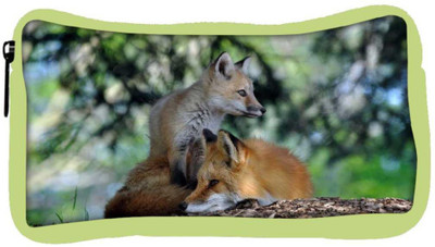 

Snoogg Eco Friendly Canvas Family Fox Designer Student Pen Pencil Case Coin Purse Pouch Cosmetic Makeup Bag (GREEN) Pouch(Multicolor)