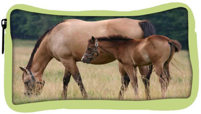 

Snoogg Eco Friendly Canvas Parental Horse Designer Student Pen Pencil Case Coin Purse Pouch Cosmetic Makeup Bag (GREEN) Pouch(Multicolor)