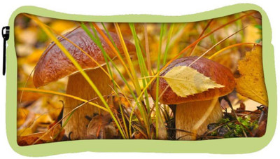 

Snoogg Eco Friendly Canvas Orange Mushroom Designer Student Pen Pencil Case Coin Purse Pouch Cosmetic Makeup Bag (GREEN) Pouch(Multicolor)