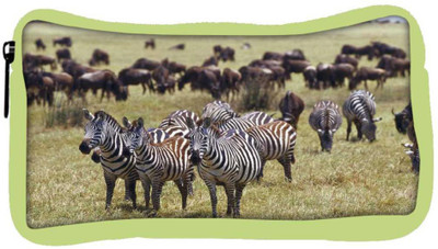 

Snoogg Eco Friendly Canvas Multiple Zebra Designer Student Pen Pencil Case Coin Purse Pouch Cosmetic Makeup Bag (GREEN) Pouch(Multicolor)