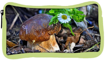 

Snoogg Eco Friendly Canvas Little Mushroom Designer Student Pen Pencil Case Coin Purse Pouch Cosmetic Makeup Bag (GREEN) Pouch(Multicolor)