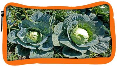 

Snoogg Eco Friendly Canvas Cabbage In Garden Student Pen Pencil Case Coin Purse Pouch Cosmetic Makeup Bag (ORANGE) Pouch(Multicolor)