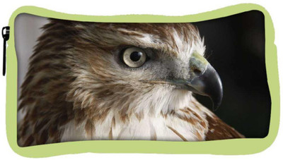 

Snoogg Eco Friendly Canvas Falcon Animal Designer Student Pen Pencil Case Coin Purse Pouch Cosmetic Makeup Bag (GREEN) Pouch(Multicolor)