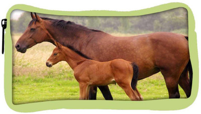 

Snoogg Eco Friendly Canvas Baby Horse Designer Student Pen Pencil Case Coin Purse Pouch Cosmetic Makeup Bag (GREEN) Pouch(Multicolor)