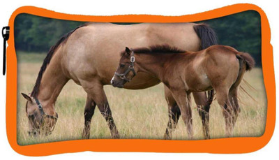 

Snoogg Eco Friendly Canvas Parental Horse Designer Student Pen Pencil Case Coin Purse Pouch Cosmetic Makeup Bag (ORANGE) Pouch(Multicolor)