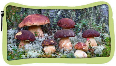 

Snoogg Eco Friendly Canvas Dark Red Mushroom Designer Student Pen Pencil Case Coin Purse Pouch Cosmetic Makeup Bag (GREEN) Pouch(Multicolor)