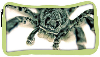 

Snoogg Eco Friendly Canvas Black Spider Designer Student Pen Pencil Case Coin Purse Pouch Cosmetic Makeup Bag (GREEN) Pouch(Multicolor)
