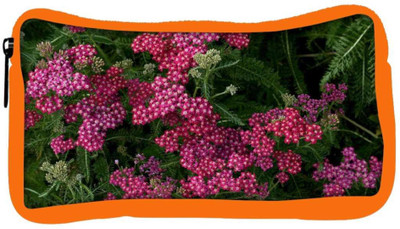 

Snoogg Eco Friendly Canvas Red And Green Flowers Designer Student Pen Pencil Case Coin Purse Pouch Cosmetic Makeup Bag (ORANGE) Pouch(Multicolor)