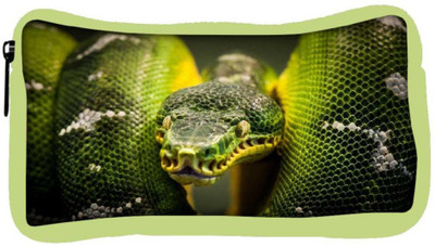 

Snoogg Eco Friendly Canvas Green Snake Designer Student Pen Pencil Case Coin Purse Pouch Cosmetic Makeup Bag (GREEN) Pouch(Multicolor)
