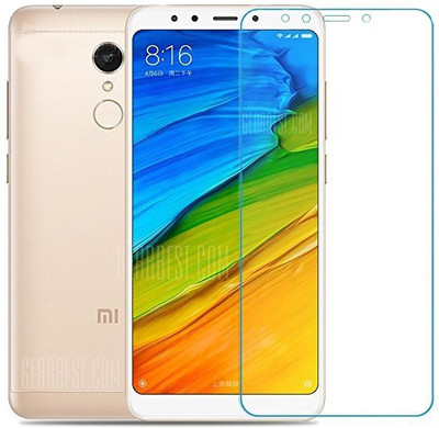 

Hoteon Screen Guard for Mi Redmi Note 5, Transparent
