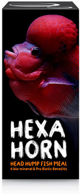 

AQUA OPUS HEXAHORN Fish 100 g Dry Fish Food