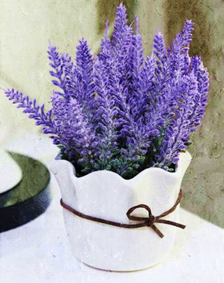 ROSEMERC lavender flower(50 per pocket) Seed(50 per packet)