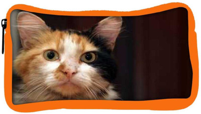 

Snoogg Eco Friendly Canvas Cute Kitty Designer Student Pen Pencil Case Coin Purse Pouch Cosmetic Makeup Bag (ORANGE) Pouch(Multicolor)