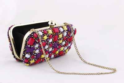 

Amolika Party Multicolor Clutch