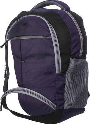

peter india 15.6 inch Expandable Laptop Backpack(Multicolor), Purple