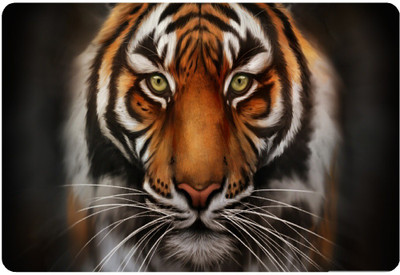 

joinkart 156LAP576 vinyl Laptop Decal 15.6