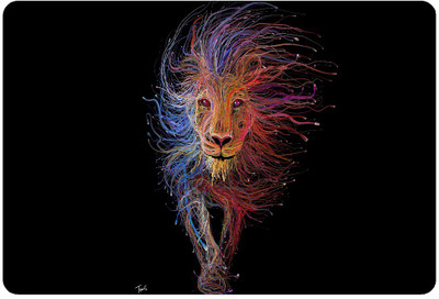 

Joinkart partterns338 vinyl Laptop Decal 14.1