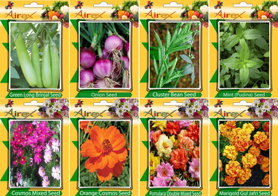 Airex Green Long Brinjal, Onion,Cluster Bean, Mint (Pudina), Cosmos Mixed, Orange Cosmos, Portulaca Mixed and Marigold Gul Jafri Seed (Pack Of 15 seed * 4 Per Pkts of Vegetables) + (Pack Of 15 Seed * 4 Per Pkts Flower) Seed Seed(15 per packet)