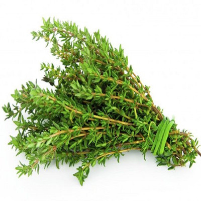 syed garden Thyme 50 seed pack Seed(50 per packet)