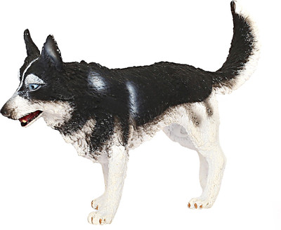 

Collecta Siberian Husky - Figurine(Multicolor)