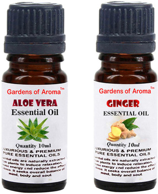 

Gardens Of Aroma Aloe vera And Ginger(20 ml)