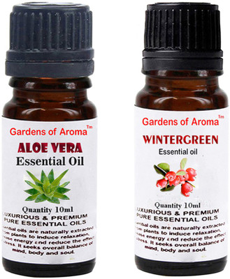 Gardens Of Aroma Aloe vera And Wintergreen(20 ml)