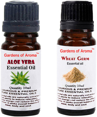 

Gardens Of Aroma Aloe vera And Wheatgerm(20 ml)