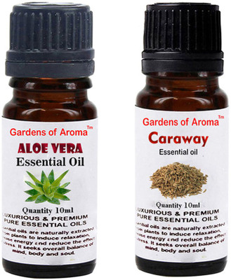 

Gardens Of Aroma Aloe vera And Caraway(20 ml)