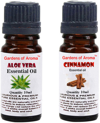 

Gardens Of Aroma Aloe vera And Cinnemon(20 ml)
