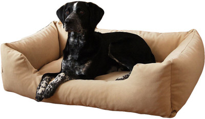 

petitude pet store MAR051 S Pet Bed(Gold)