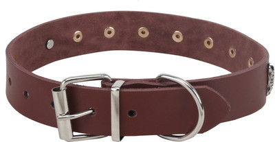 

Sri 20 cm Dog Strap Leash(Brown)