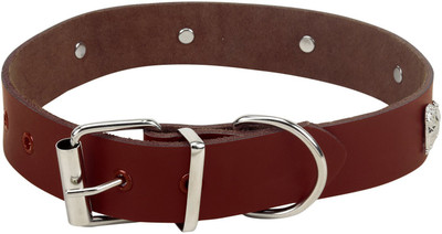 SRI Adjustable Dog Collar with Dog Shape Metal Stud- 3 cm 20 cm Dog Strap Leash(Brown)