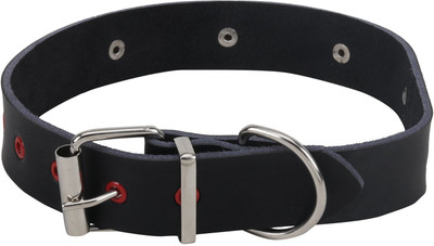 

Sri 20 cm Dog Strap Leash(Black)