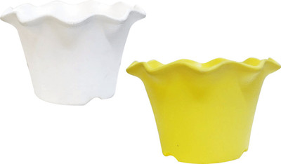 SHOPTICO Plant Container Set(Plastic)
