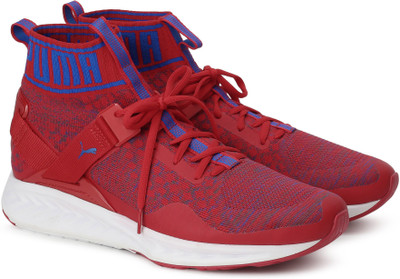 

Puma IGNITE evoKNIT Running Shoes For Men(Red, Blue, Toreador-lapis blue-quiet shade