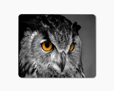 

iKraft Mouse Pad 18x22cm Non-Slip Rubber Owl Bird Printed Gaming Mouse Pad Mate for Home Office Mousepad(Multicolor)