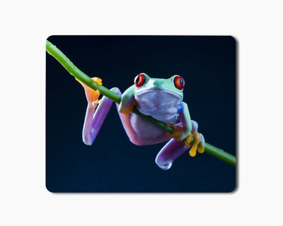 

iKraft Mouse Pad 18x22cm Non-Slip Rubber Frog Animal Printed Gaming Mouse Pad Mate for Home Office Mousepad(Multicolor)