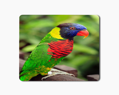 

iKraft Mouse Pad 18x22cm Non-Slip Rubber Colorful Parrot Bird Printed Gaming Mouse Pad Mate for Home Office Mousepad(Multicolor)