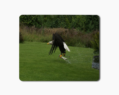 

iKraft Mouse Pad 18x22cm Non-Slip Rubber Bird Eagle Hunting Printed Gaming Mouse Pad Mate for Home Office Mousepad(Multicolor)