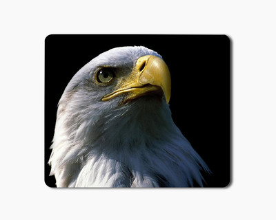

iKraft Mouse Pad 18x22cm Non-Slip Rubber Eagle Bird Printed Gaming Mouse Pad Mate for Home Office Mousepad(Multicolor)
