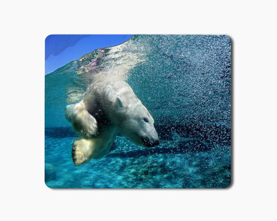 

iKraft Mouse Pad 18x22cm Non-Slip Rubber Polar Bear Animal Printed Gaming Mouse Pad Mate for Home Office Mousepad(Multicolor)